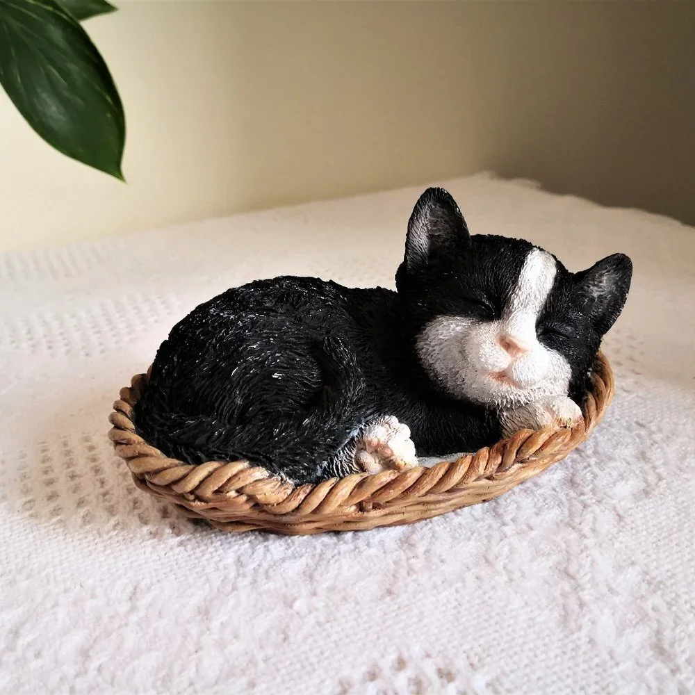 Cute Sleeping‎ Cat in Basket